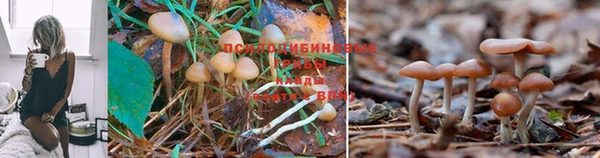 каннабис Иннополис