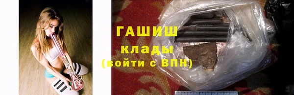 стаф Инта