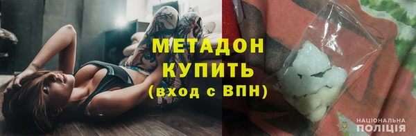 стаф Инта