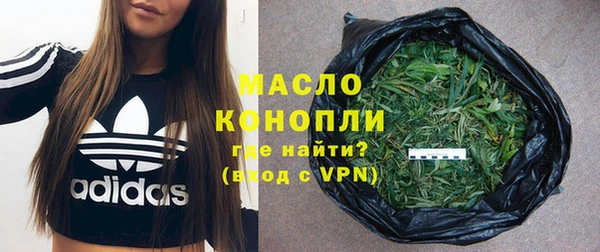 стаф Инта