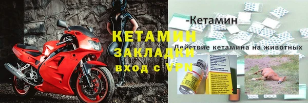 стаф Инта