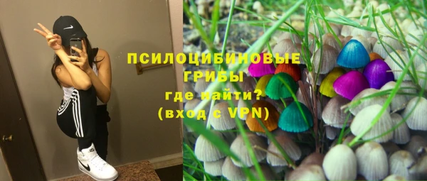 стаф Инта