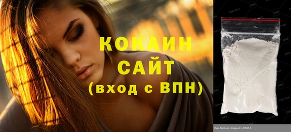 стаф Инта